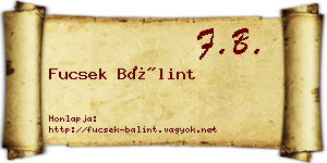 Fucsek Bálint névjegykártya